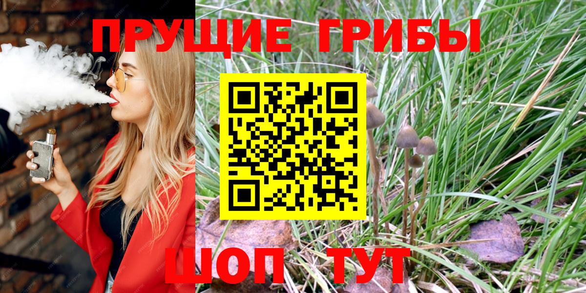Псилоцибиновые грибы мицелий  Галлюциногенные грибы мицелий  Вход с VPN  как найти закладки  Людиново 